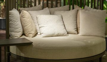 Ceigo, Drawn into the open